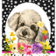 Maltese Paw Prints Welcome Indoor/Outdoor Aluminum Sign