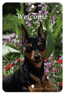 Miniature Pinscher Best Of Breed Indoor/Outdoor Aluminium Sign
