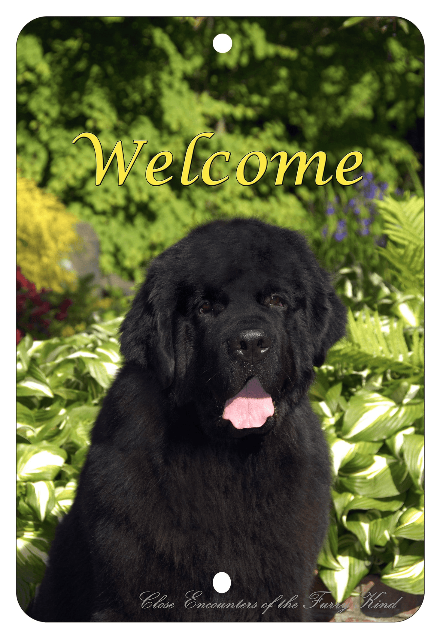 Newfoundland Best Of Breed Indoor/Outdoor Aluminium Sign