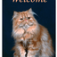 Persian Red Tabby Best Of Breed Aluminium Sign For Dog Lovers