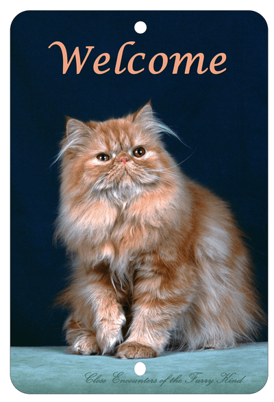 Persian Red Tabby Best Of Breed Aluminium Sign For Dog Lovers