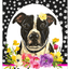 Pit Bull Welcome Indoor/Outdoor Aluminium Sign - 8" X 12"