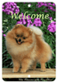 Pomeranian Best Of Breed Indoor/Outdoor Aluminium Sign