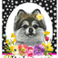 Pomeranian Paw Prints Welcome Indoor/Outdoor Sign - High-Grade Aluminium