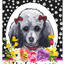Hhs Paw Prints Welcome Indoor/Outdoor Aluminium Sign