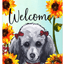 Poodle Grey Indoor/Outdoor Aluminium Sign For Dog Lovers
