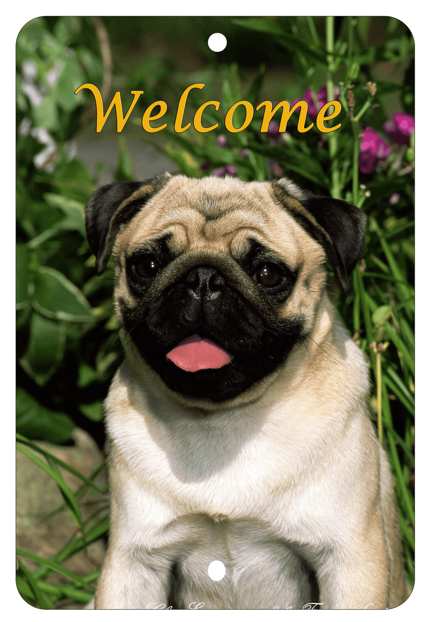 Pug Fawn Indoor/Outdoor Aluminium Sign - Best Of Breed