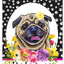 Pug Fawn Welcome Indoor/Outdoor Aluminum Sign