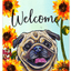 Pug Fawn Indoor/Outdoor Aluminium Sign - 8" X 12"