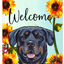 Rottweiler Indoor/Outdoor Aluminium Sign - 8" X 12"