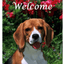 Beagle Indoor/Outdoor Aluminium Sign - Best Of Breed