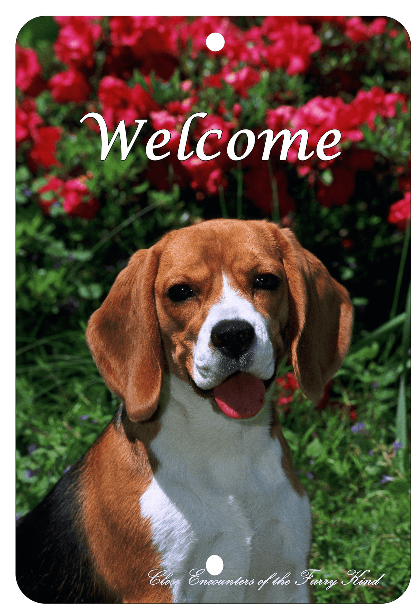 Beagle Indoor/Outdoor Aluminium Sign - Best Of Breed