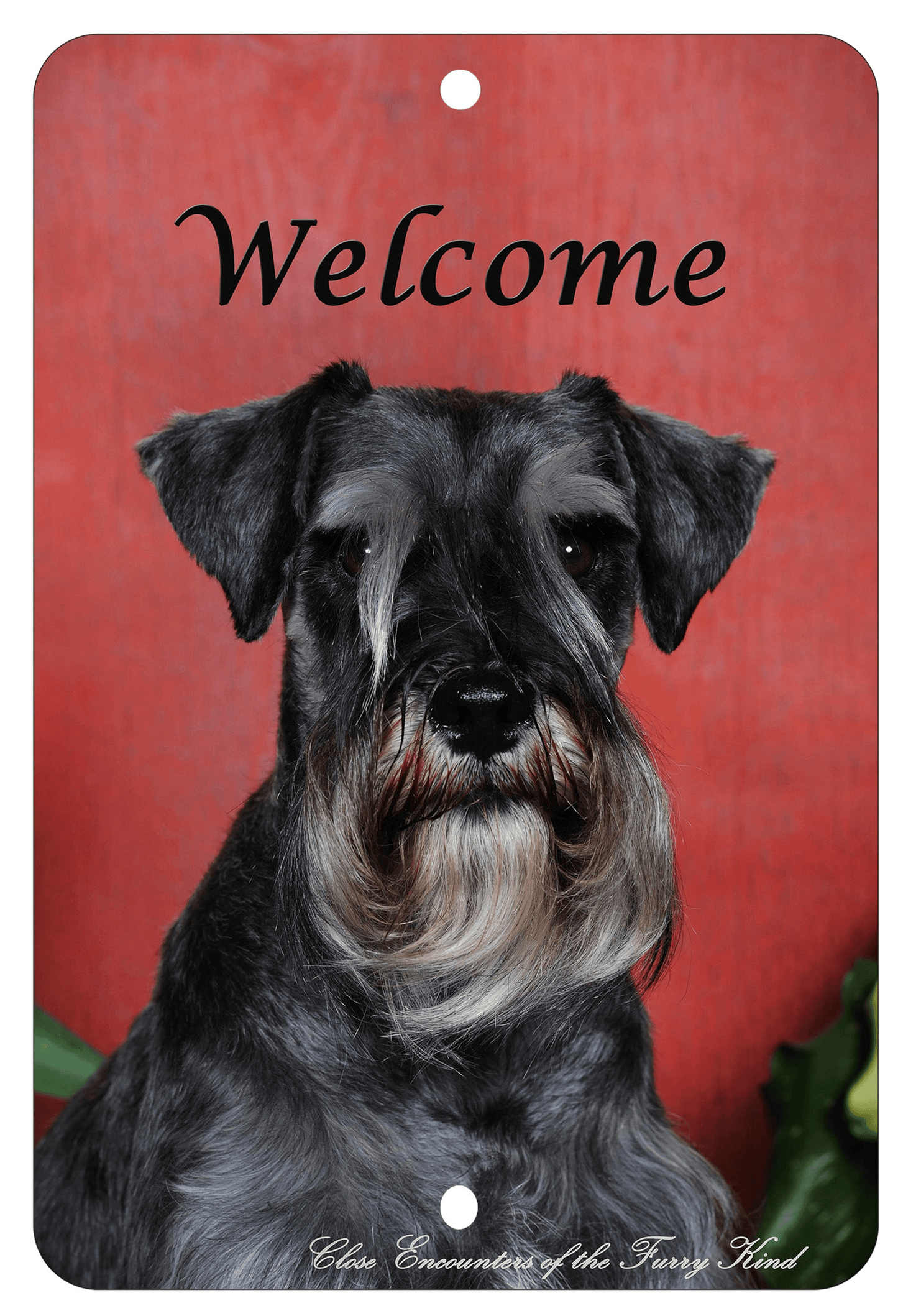 Schnauzer Uncropped Aluminium Sign – Best Of Breed Indoor/Outdoor Decor