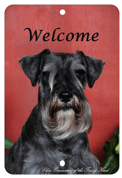 Schnauzer Uncropped Aluminium Sign – Best Of Breed Indoor/Outdoor Decor