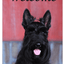 Scotty Indoor/Outdoor Aluminium Dog Lovers Sign