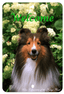 Sheltie Best Of Breed Indoor/Outdoor Aluminium Sign