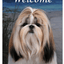 Shih Tzu Best Of Breed Indoor/Outdoor Aluminium Sign