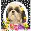 Shih Tzu Paw Prints Welcome Indoor/Outdoor Aluminum Sign