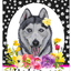 Siberian Husky Grey Welcome Sign - Durable Aluminum, Indoor/Outdoor