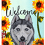 Siberian Husky Grey Aluminium Indoor/Outdoor Sign
