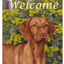 Vizsla Best Of Breed Indoor/Outdoor Aluminum Sign