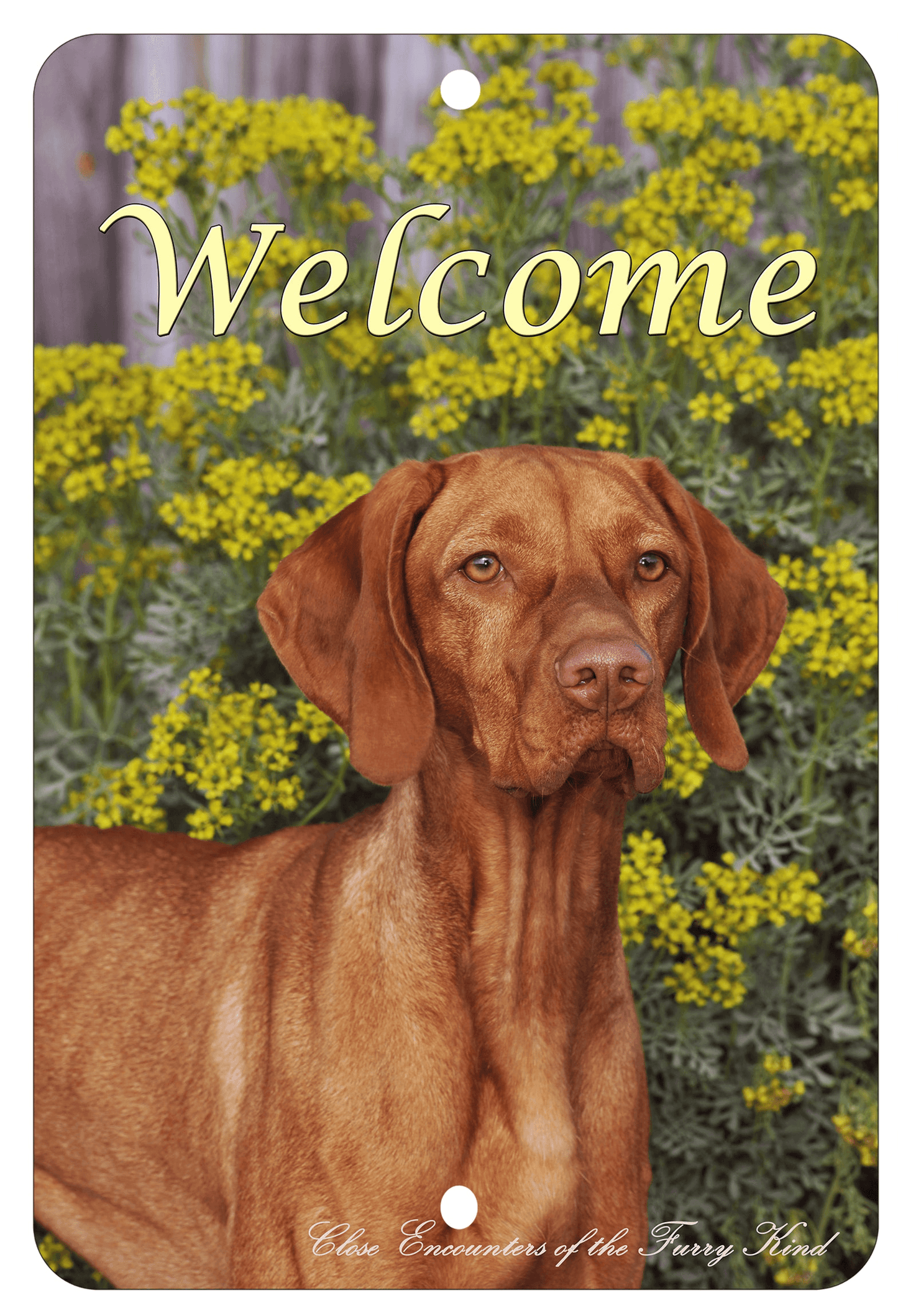 Vizsla Best Of Breed Indoor/Outdoor Aluminum Sign