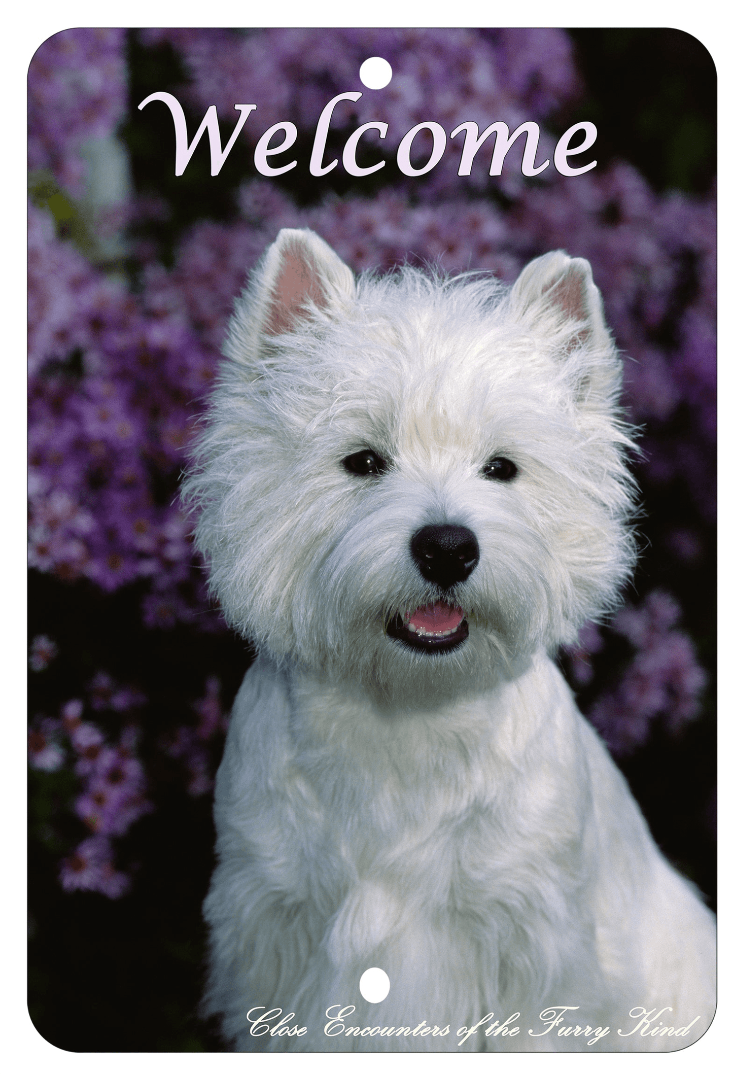 Westie Best Of Breed Aluminium Sign - Indoor/Outdoor 8" X 12"