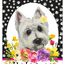 Hhs Paw Prints Welcome Indoor/Outdoor Aluminum Sign