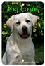 Yellow Labrador Best Of Breed Aluminium Indoor/Outdoor Sign
