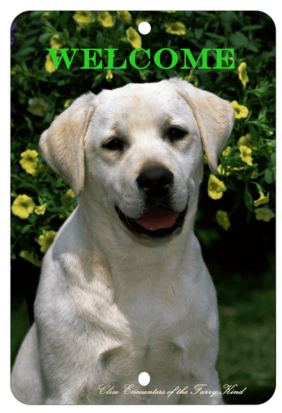 Yellow Labrador Best Of Breed Aluminium Indoor/Outdoor Sign