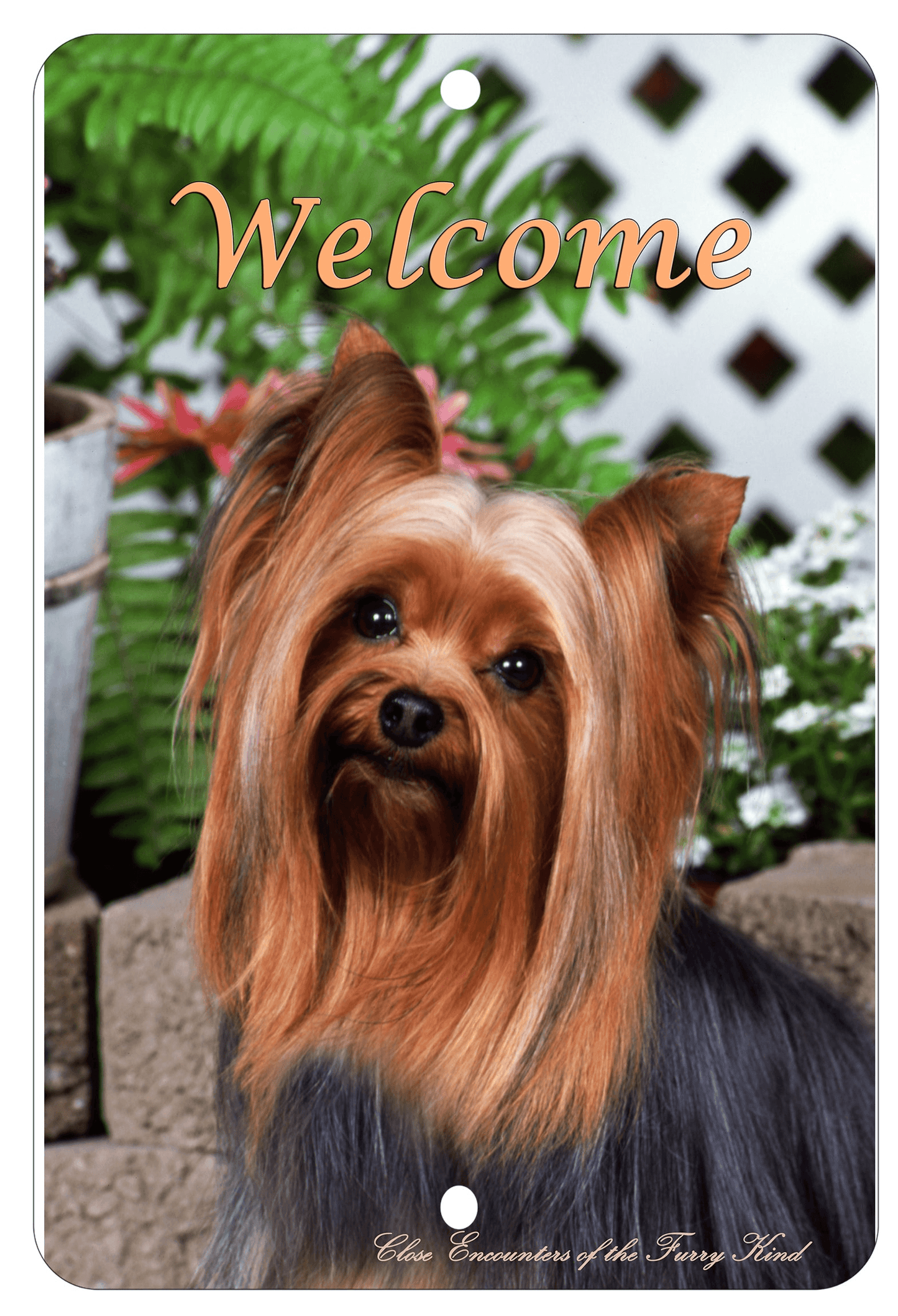 Yorkie Best Of Breed Indoor/Outdoor Aluminium Sign