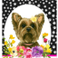 Yorkie Paw Prints Welcome Indoor/Outdoor Aluminum Sign