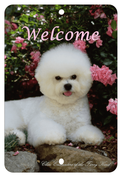 Bichon Frise Best Of Breed Aluminium Sign