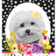 Bichon Frise Welcome Indoor/Outdoor Aluminum Sign