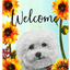 Bichon Frise Indoor/Outdoor Aluminium Sign