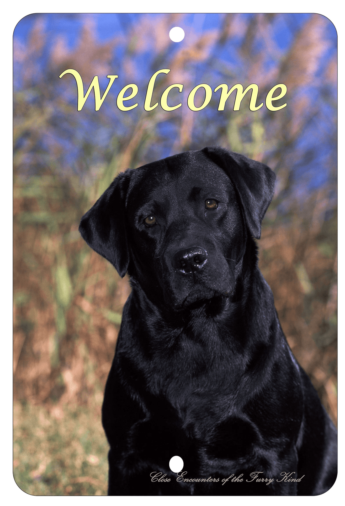 Black Labrador Best Of Breed Indoor/Outdoor Aluminium Sign