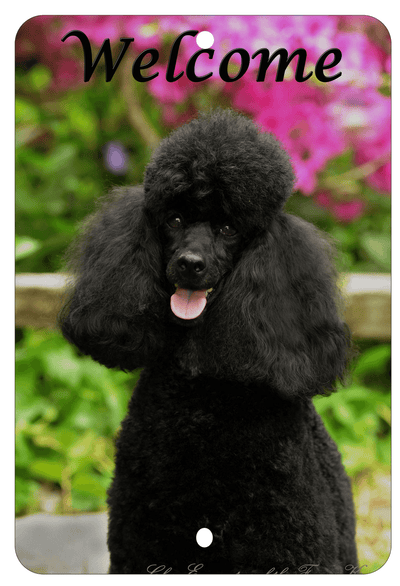 Black Poodle Best Of Breed Aluminum Sign 8"X12"