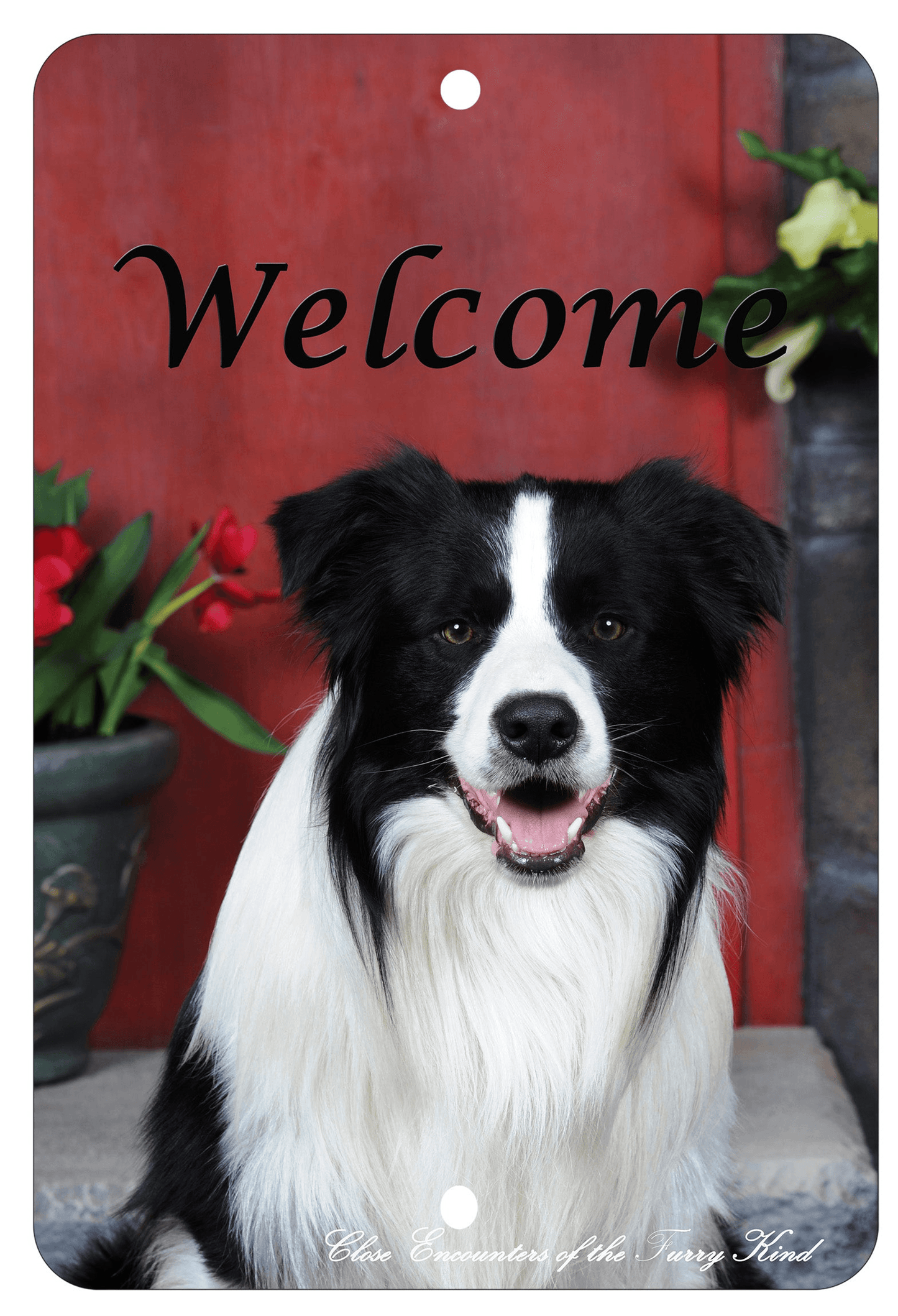 Border Collie Best Of Breed Aluminium Sign - Indoor/Outdoor Décor