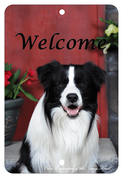Border Collie Best Of Breed Aluminium Sign - Indoor/Outdoor Décor