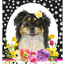Border Collie Paw Prints Welcome Aluminium Sign - 8" X 12"