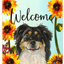 Border Collie Welcome Indoor/Outdoor Aluminium Sign