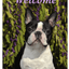 Boston Terrier Best Of Breed Aluminium Sign - Indoor/Outdoor 8" X 12"