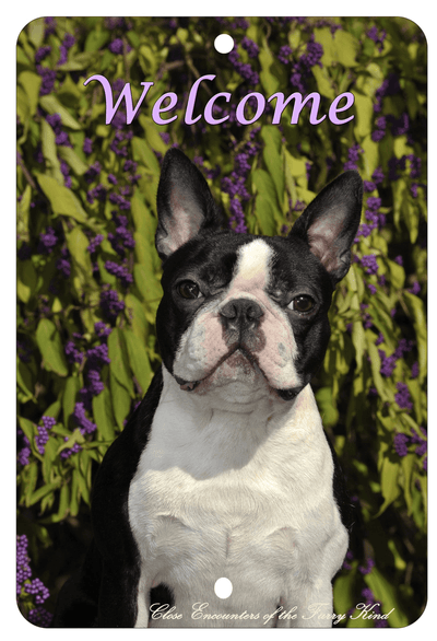 Boston Terrier Best Of Breed Aluminium Sign - Indoor/Outdoor 8" X 12"