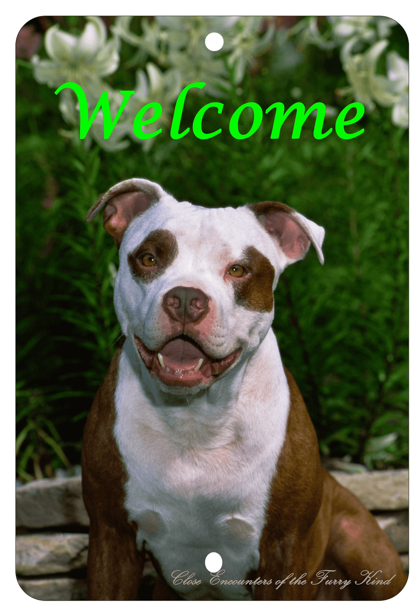 American Pit Bull Best Of Breed Aluminium Indoor/Outdoor Sign