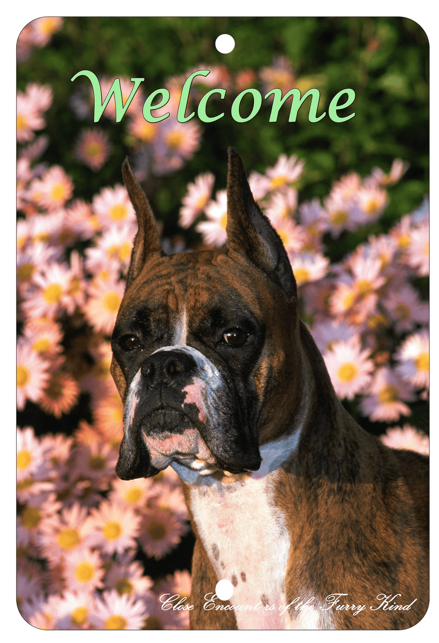 Boxer Copped - Best Of Breed Indoor/Outdoor Aluminium Sign