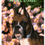 Boxer Copped - Best Of Breed Indoor/Outdoor Aluminium Sign