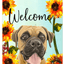Boxer Uncropped Welcome Indoor/Outdoor Aluminium Sign