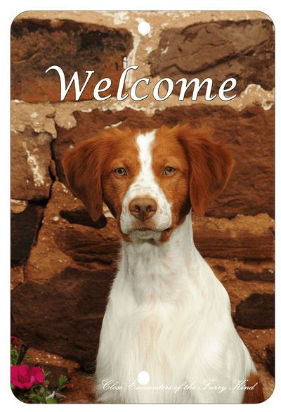 Brittany Spaniel Best Of Breed Aluminium Sign
