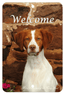 Brittany Spaniel Best Of Breed Aluminium Sign
