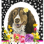 Brittany Spaniel Paw Prints Welcome Aluminium Sign 8" X 12"